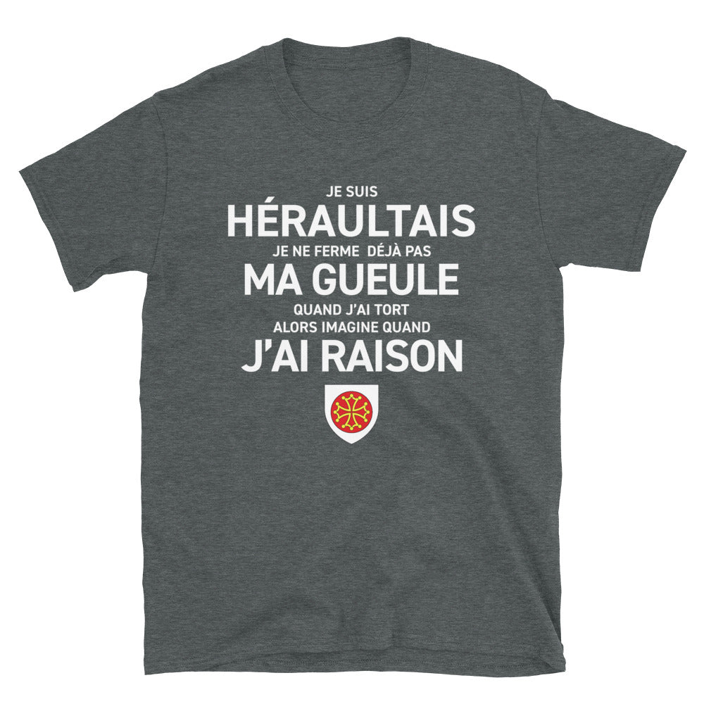 T-shirt Hérault gris foncé chiné - Je suis Héraultais je ne ferme pas ma gueule