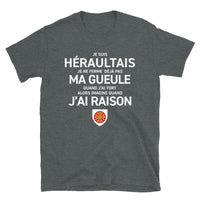 Thumbnail for T-shirt Hérault gris foncé chiné - Je suis Héraultais je ne ferme pas ma gueule