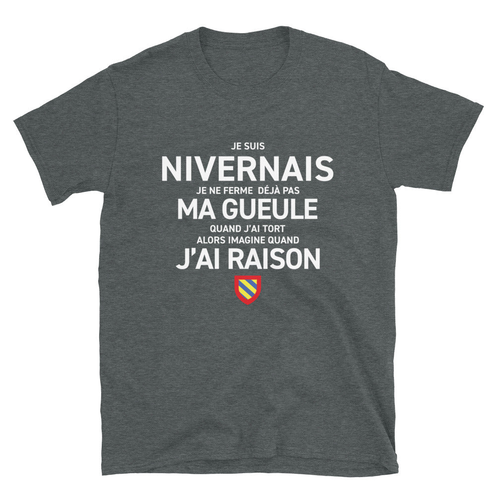 T-shirt Nivernais gris foncé chiné - Je suis Nivernais je ne ferme pas ma gueule
