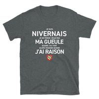 Thumbnail for T-shirt Nivernais gris foncé chiné - Je suis Nivernais je ne ferme pas ma gueule