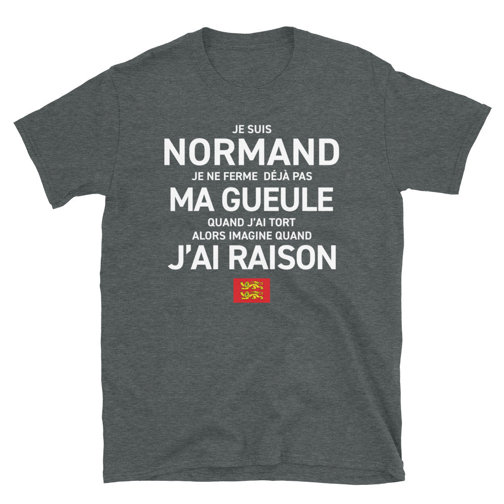T-shirt Normand noir dos - Je ne ferme pas ma gueule