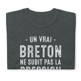 Breton, ne subit pas la pression, il l'a boit - T-shirt standard