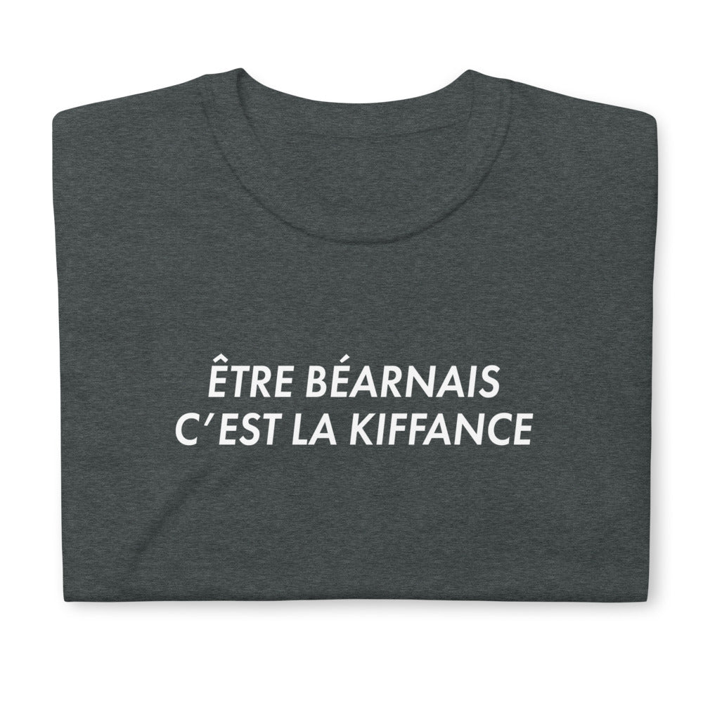 Aus Béarn zu kommen ist toll – Standard-T-Shirt