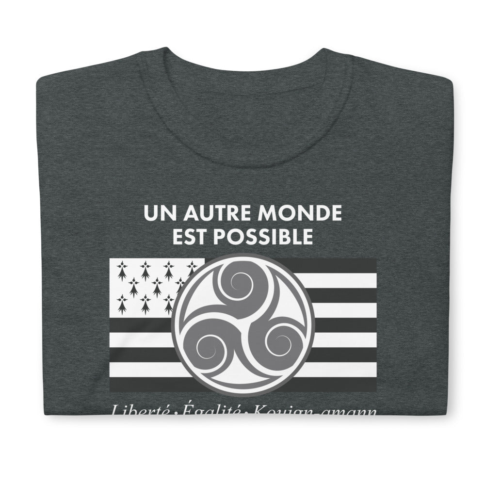 Breton Republic - Standard Humorous T-Shirt