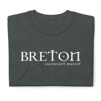 Thumbnail for T-shirt humour - Breton Ascendant Parfait