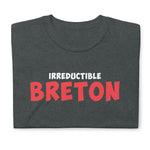 T-shirt Inspiré - Irréductible Breton Asterix