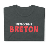 T-shirt Inspiré - Irréductible Breton Asterix