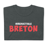 Thumbnail for T-shirt Inspiré - Irréductible Breton Asterix