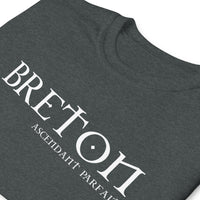Thumbnail for T-shirt humour - Breton Ascendant Parfait