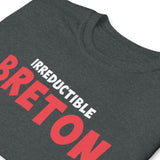 T-shirt Inspiré - Irréductible Breton Asterix