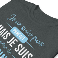 Thumbnail for T-shirt Supporter de Bayonne - Humour - Rugby - Je ne suis pas parfait