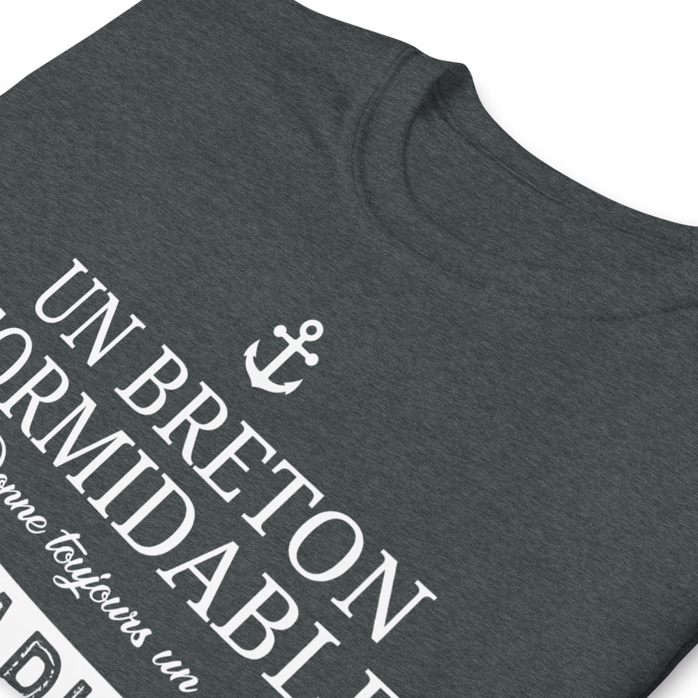 T-shirt cadeau humour Papi Breton - Fête des grands-pères