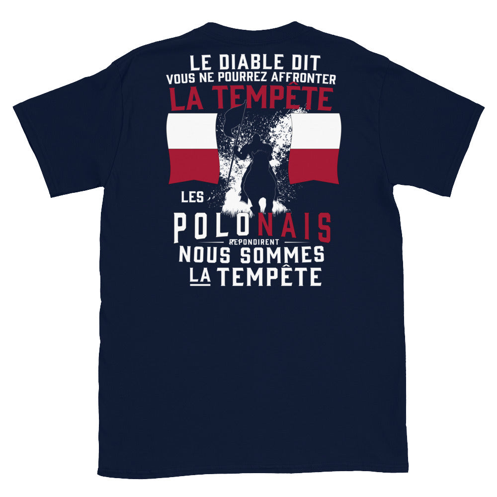 T-shirt Pologne noir dos - Les Polonais répondirent : tempête