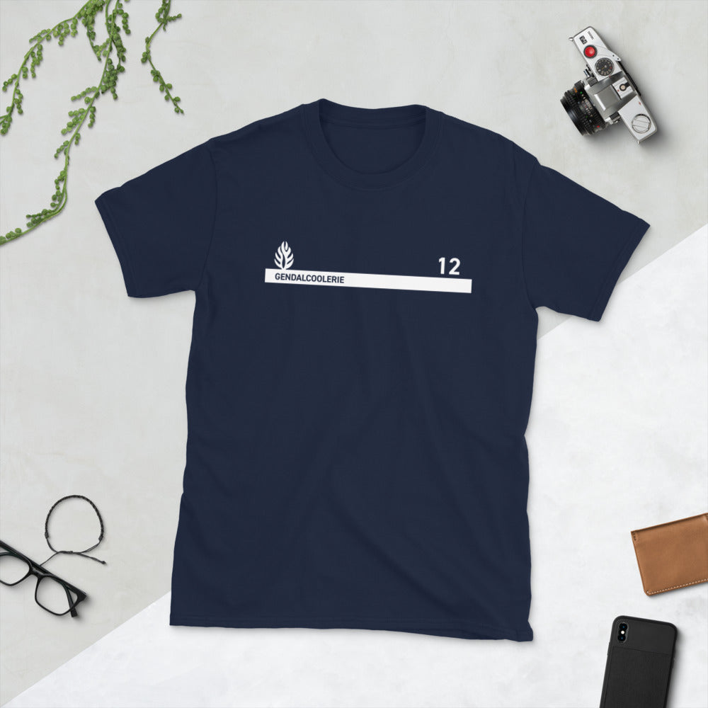 T-shirt Aveyron gris sport - Fierté et humour en coton