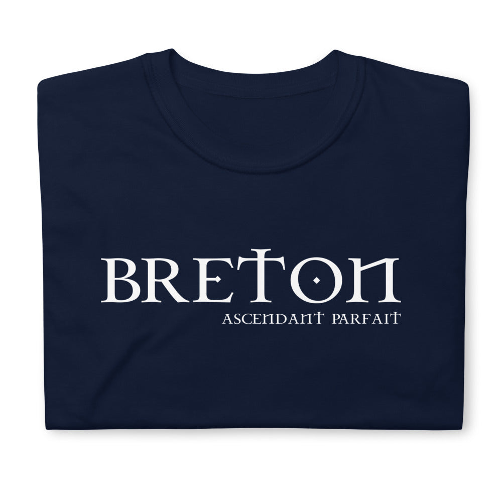 T-shirt Bretagne gris foncé chiné dos - Breton Ascendant Parfait