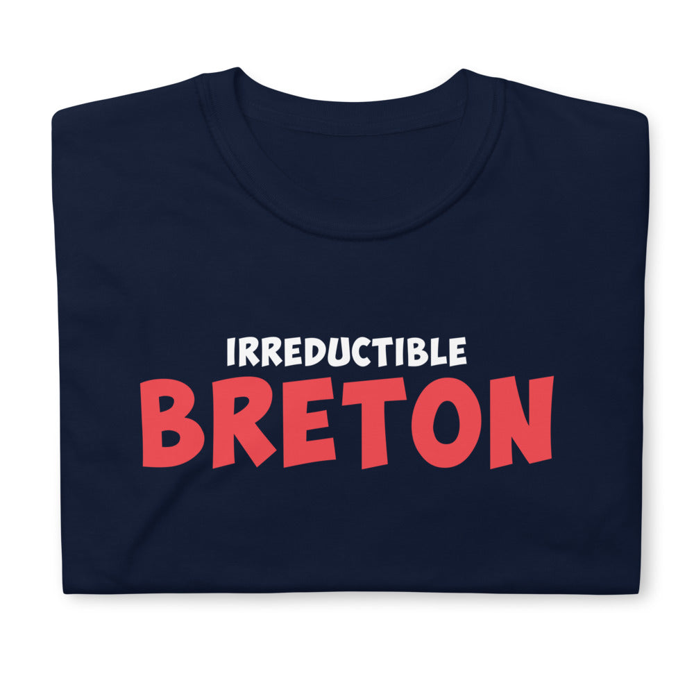 T-shirt Bretagne bleu marine dos - Irréductible Asterix