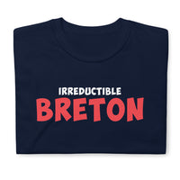 Thumbnail for T-shirt Bretagne bleu marine dos - Irréductible Asterix