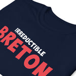 T-shirt Inspiré - Irréductible Breton Asterix