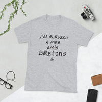 Thumbnail for J'ai survécu à mes amis Bretons - T-Shirt standard humour