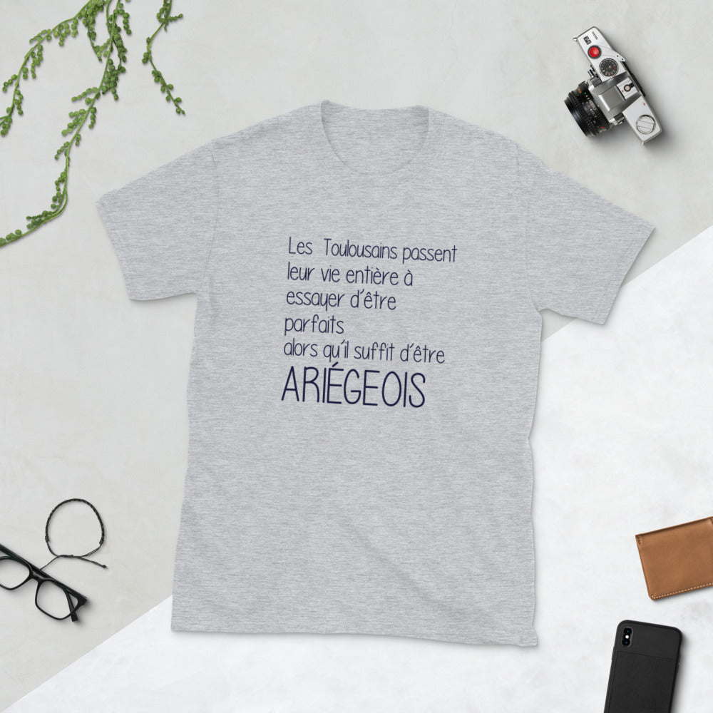 Ariégeois il suffit Perfection - T-shirt humour Ariège