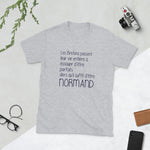 Normand il suffit Perfection - T-shirt humour Normandie