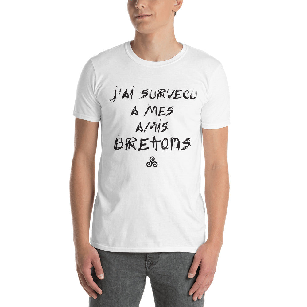 T-shirt Bretagne gris sport - J'ai survécu à mes amis