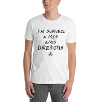 Thumbnail for T-shirt Bretagne gris sport - J'ai survécu à mes amis