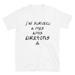 J'ai survécu à mes amis Bretons - T-Shirt standard humour