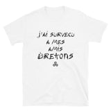 J'ai survécu à mes amis Bretons - T-Shirt standard humour