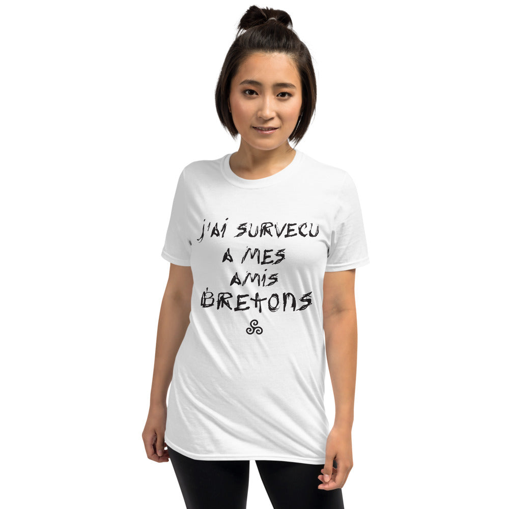 T-shirt Bretagne gris sport dos - J'ai survécu à mes amis