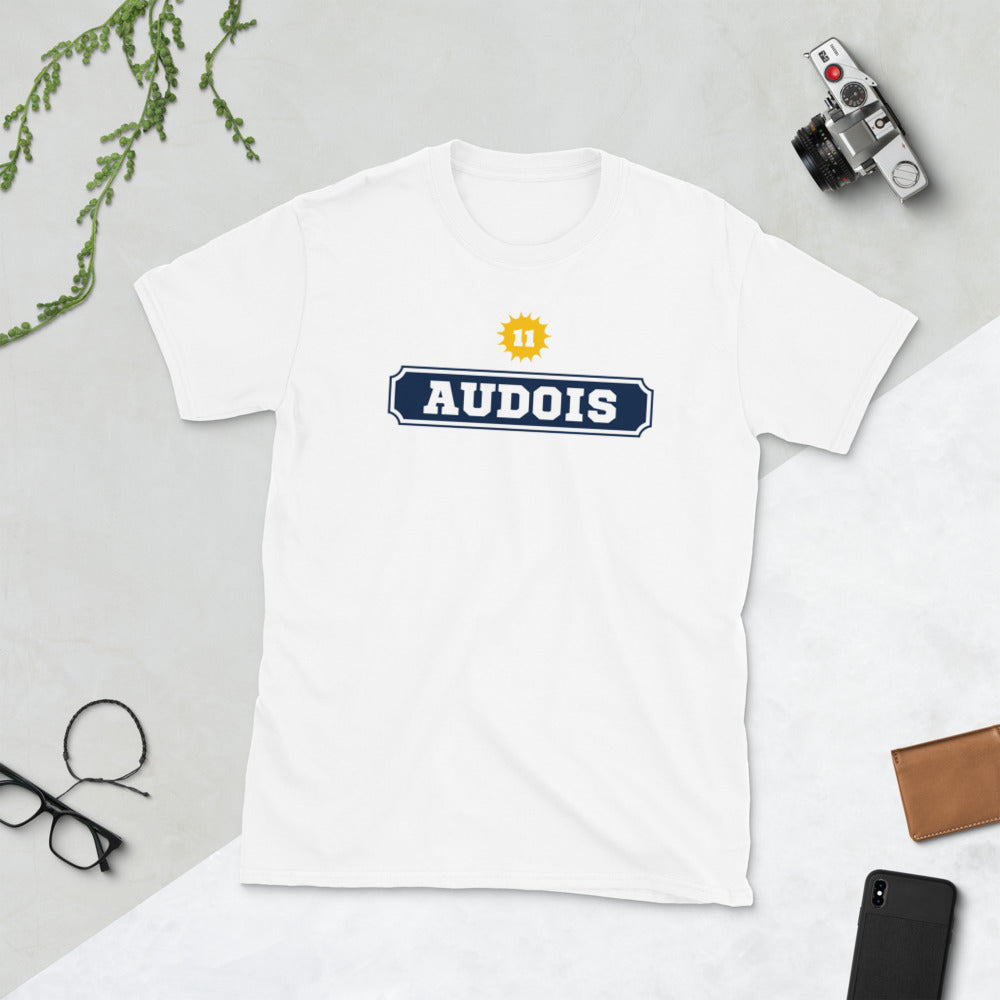 Audois 11 inspiration Pastis - T-Shirt standard humour