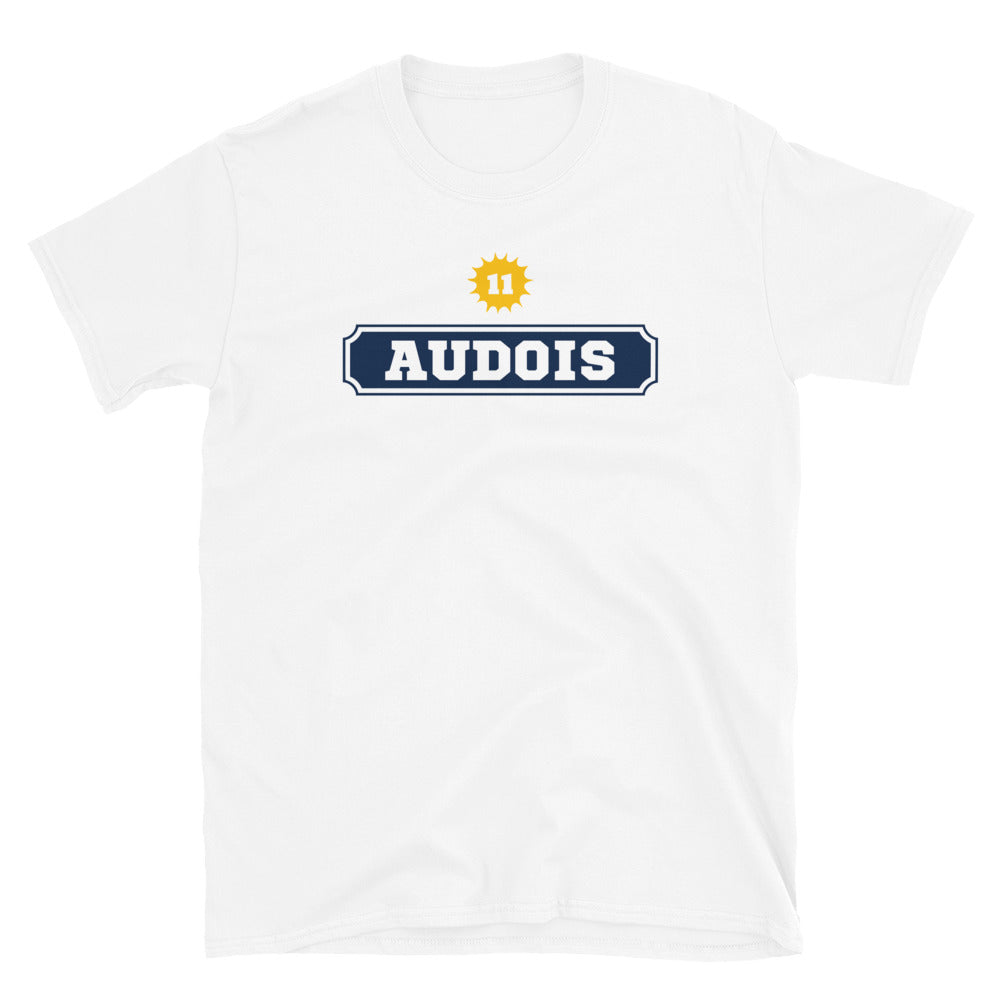 Audois 11 inspiration Pastis - T-Shirt standard humour