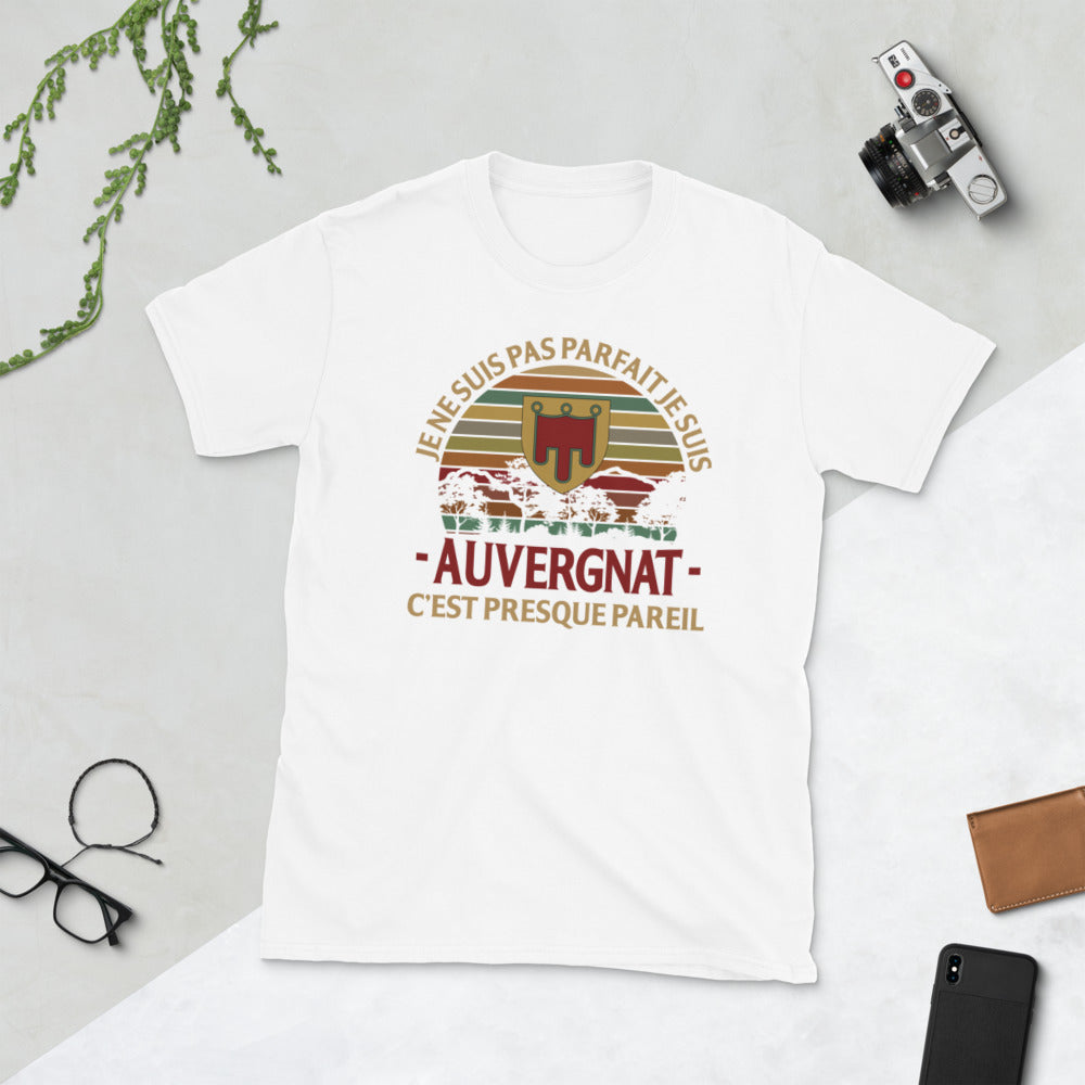 T-shirt Auvergne gris sport dos - Je ne suis pas parfait, presque pareil