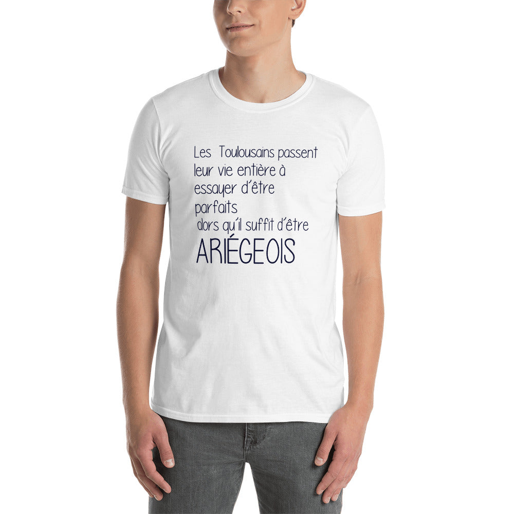 Ariégeois il suffit Perfection - T-shirt humour Ariège