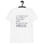 Ariégeois il suffit Perfection - T-shirt humour Ariège