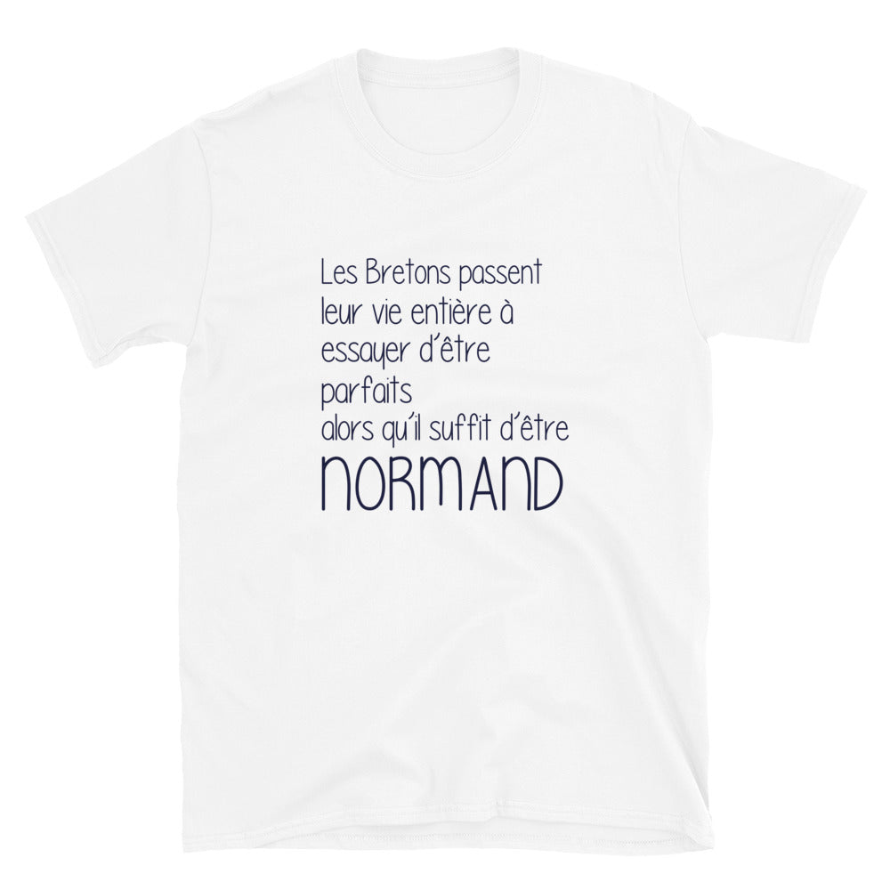 T-shirt Normandie blanc dos - Il suffit d'un Normand