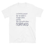 Normand il suffit Perfection - T-shirt humour Normandie