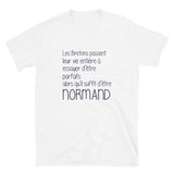 Normand il suffit Perfection - T-shirt humour Normandie