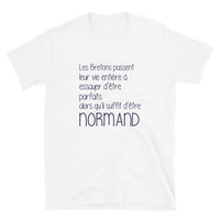 Thumbnail for T-shirt Normandie blanc dos - Il suffit d'un Normand