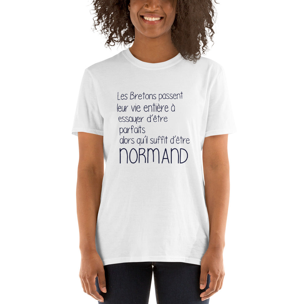 T-shirt Normandie gris sport dos - Il suffit d'un Normand