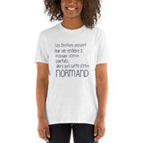 Normand il suffit Perfection - T-shirt humour Normandie