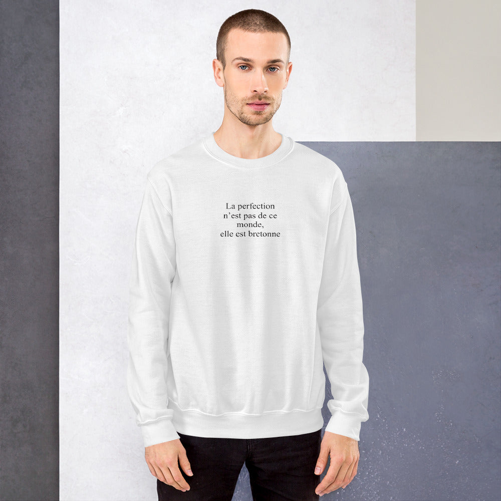 Sweatshirt Bretagne gris sport - La perfection n'est pas de ce monde