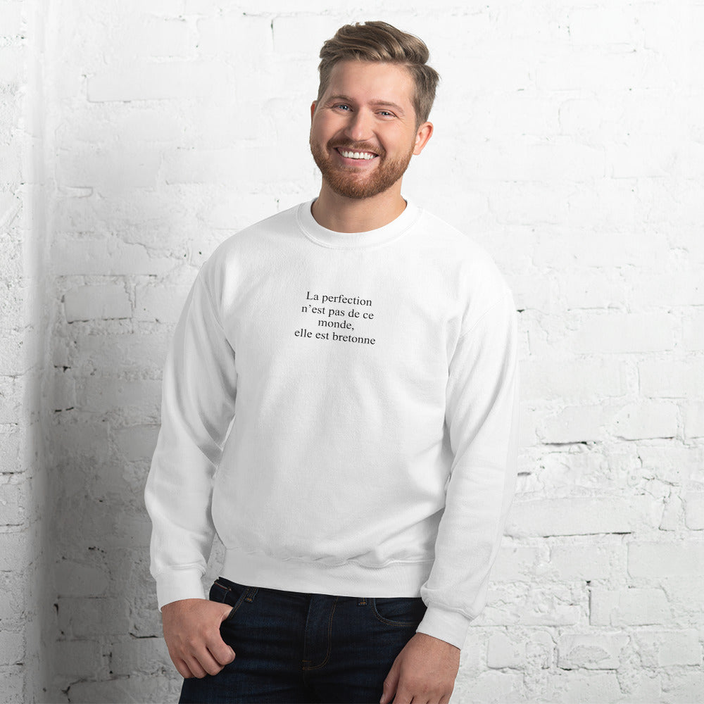 Sweatshirt Bretagne rose clair - La perfection n'est pas de ce monde