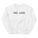 Forza Azzurri sweatshirt Italien