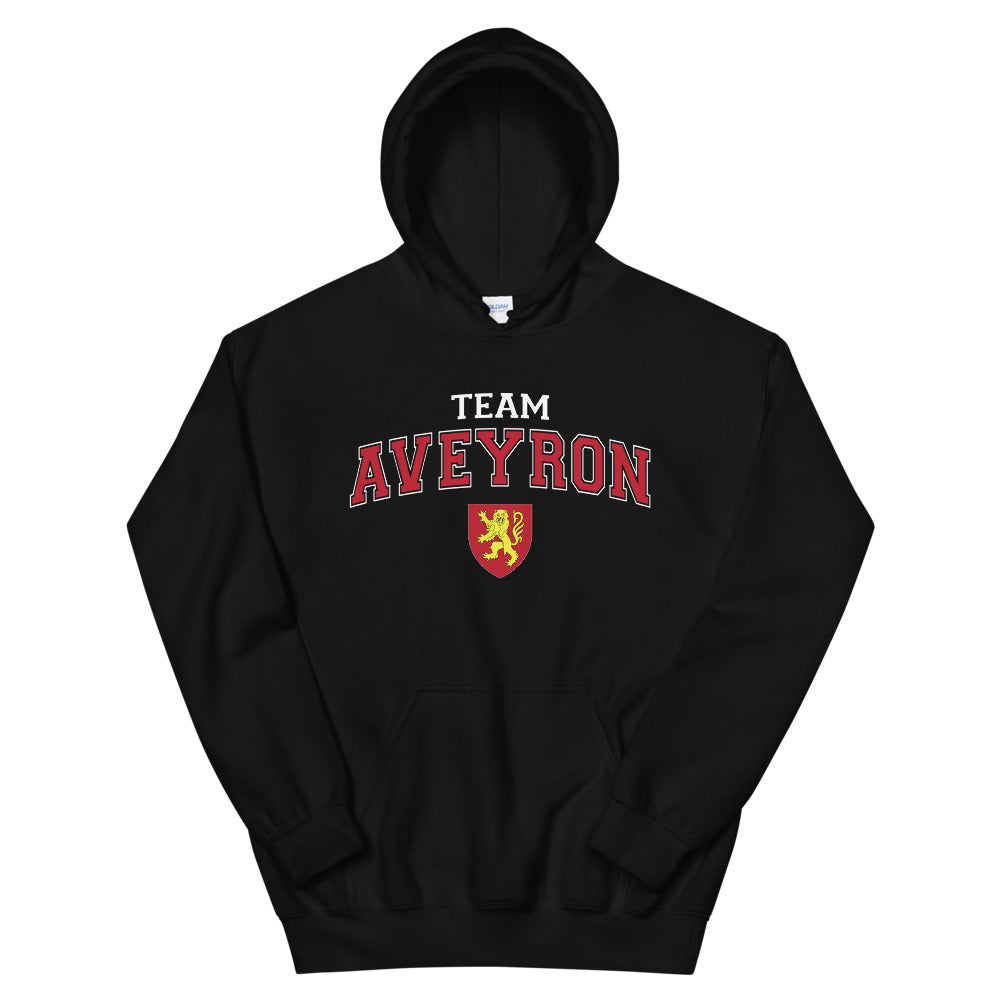 Sweat à capuche Aveyron noir - blason et écriture universitaire