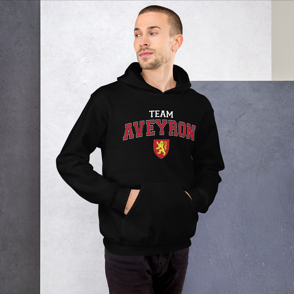 Sweat à capuche Aveyron noir dos - blason et écriture universitaire