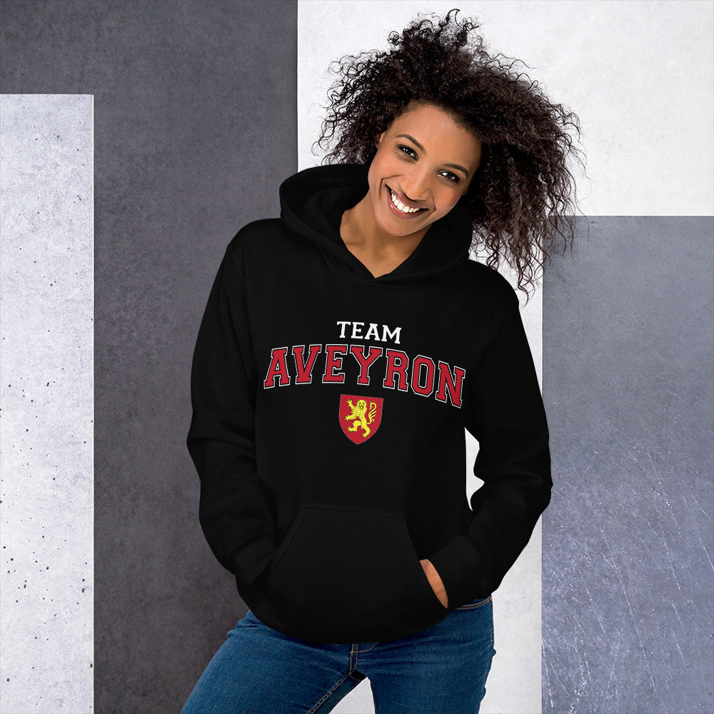 Sweat à capuche Aveyron bleu marine dos - blason et écriture universitaire