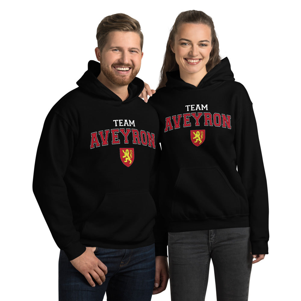 Sweat à capuche Aveyron bordeaux - blason et écriture universitaire
