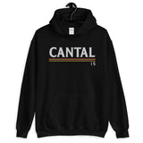Cantal - 15 - couleurs vintage - Sweat à Capuche standard