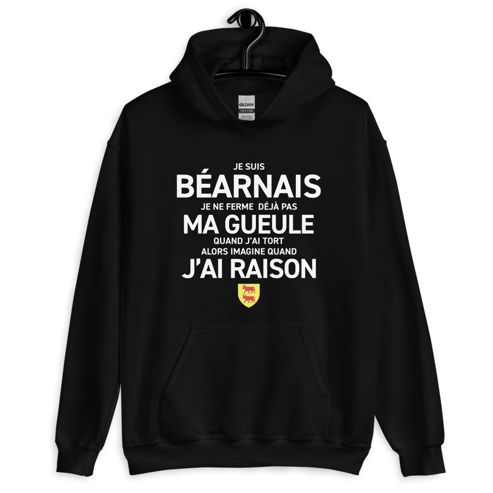 Sweatshirt Béarn vert militaire - Je suis Béarnais je ne ferme pas ma gueule